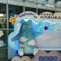 あべのハルカスの写真_245915