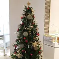 東京ミッドタウン日比谷 の写真_245947