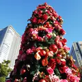 日比谷公園の写真_245950