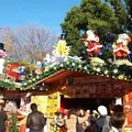 日比谷公園の写真_245952