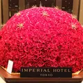 帝国ホテルの写真_245954