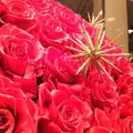 帝国ホテルの写真_245955
