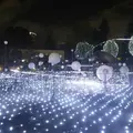 東京ミッドタウンの写真_246072