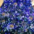 MARK IS みなとみらいの写真_246113