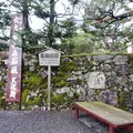 坂本の写真_247116