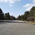 京都御苑の写真_250071