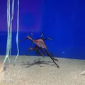 サンシャイン水族館の写真_256294