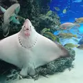 サンシャイン水族館の写真_256296
