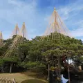 兼六園の写真_256968