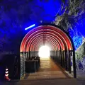 聖域の岬 青の洞窟の写真_257107