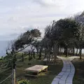 聖域の岬 青の洞窟の写真_257198