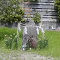 記紀の道の写真_258388