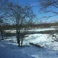 釧路湿原国立公園の写真_25844