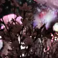 日本橋三井ホールの写真_258785