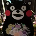 日本橋三井ホールの写真_258786