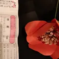 日本橋三井ホールの写真_258800