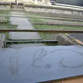 旧大社駅の写真_266102