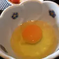 箱根強羅 別邸今宵の写真_266401