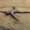 彫刻の森美術館の写真_266423