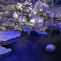六義園の写真_266462