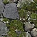 松江城の写真_266569