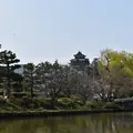 ぐるっと松江堀川めぐりの写真_266572