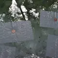 八重垣神社の写真_266576