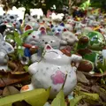 淡島神社の写真_273103