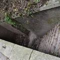 友ヶ島の写真_273133