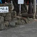 友ヶ島の写真_273137
