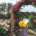 はままつフラワーパークの写真_278709