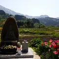 ほのぼの観音の写真_279902
