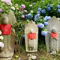 矢田寺の写真_283355