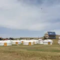 テレルジ国立公園の写真_283370