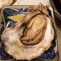 庭園の宿 石亭の写真_285132