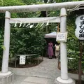 川越熊野神社の写真_292957