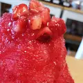 笠森観音の写真_295125