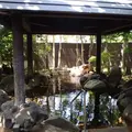 阿蘇坊中温泉夢の湯の写真_2970