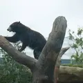 神戸どうぶつ王国の写真_299358