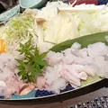 渚の荘 花季の写真_299382