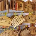 金持神社の写真_301391