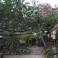 竹林院群芳園の写真_30196