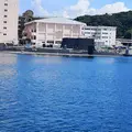 ヴェルニー公園の写真_303734