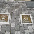 どぶ板通りの写真_303737