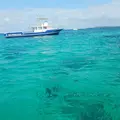 スマイルフィッシュ Smile Fish IRIOMOTEJIMAの写真_312462