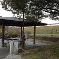 久世ニューリバー公園の写真_32106