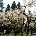 磐椅神社の写真_3222