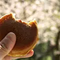 磐椅神社の写真_3223