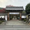西教寺の写真_326106