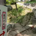 千光寺公園の写真_33382